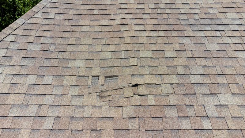 Asphalt Roof Inspection in Georgetown, DE