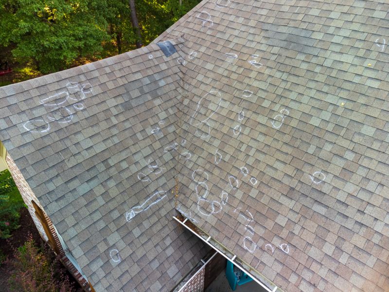 Asphalt Roof Inspection in Ocean View, DE