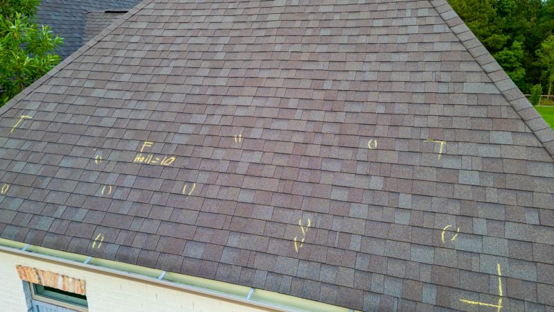 Asphalt Roof Inspection in Worcester County, MD