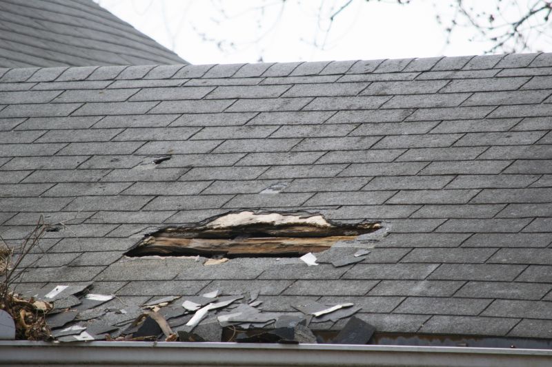 Asphalt Roof Leak Repair in Frankford, DE