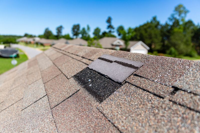 Asphalt Roof Leak Repair in Frankford, DE