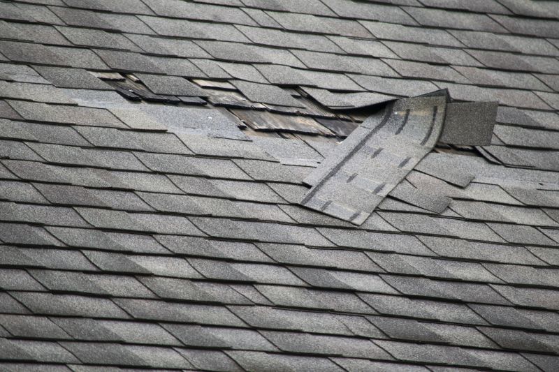 Asphalt Roof Leak Repair in Worcester County, MD