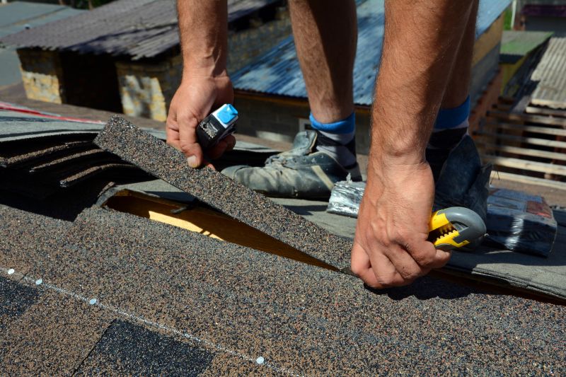 Asphalt Roof Repair in Ellendale, DE