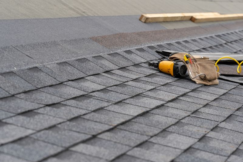 Asphalt Roof Repair in Ocean View, DE