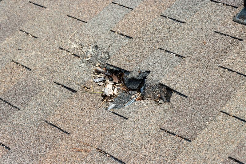 Asphalt Roof Replacement in Dewey Beach, DE