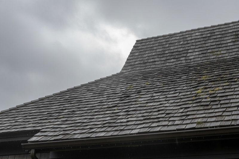 Cedar Roof Replacement in Selbyville, DE
