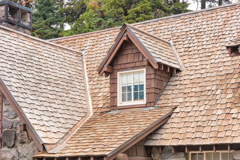 Cedar Shake Roof Repair in Georgetown, DE