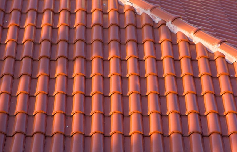 Clay Roof Installation in Ellendale, DE