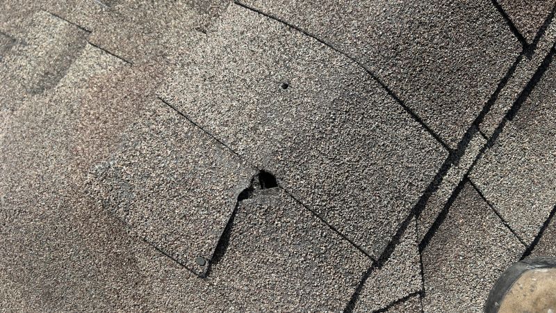 Damaged Roof Repair in Harbeson, DE