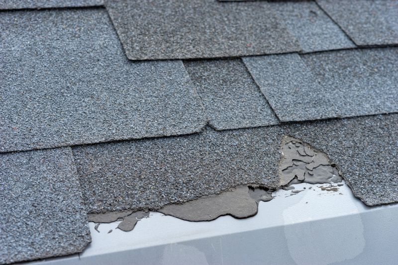 Damaged Roof Repair in Bethany Beach, DE