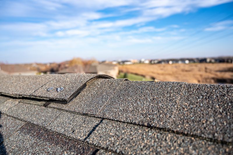 Damaged Roof Repair in Millville, DE