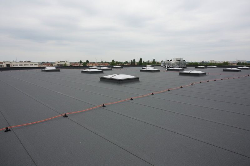 Flat Roof Replacement in Ellendale, DE