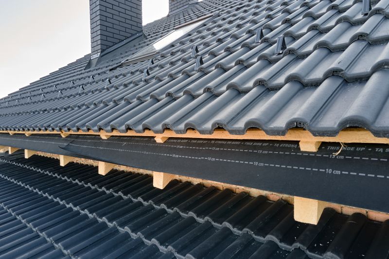 Roof Construction in Ellendale, DE