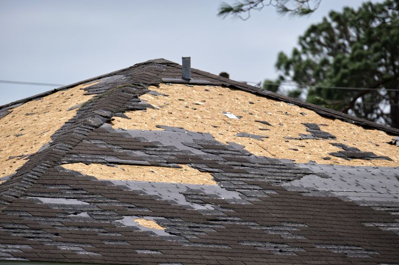 Roof Damage Restoration in Ocean View, DE