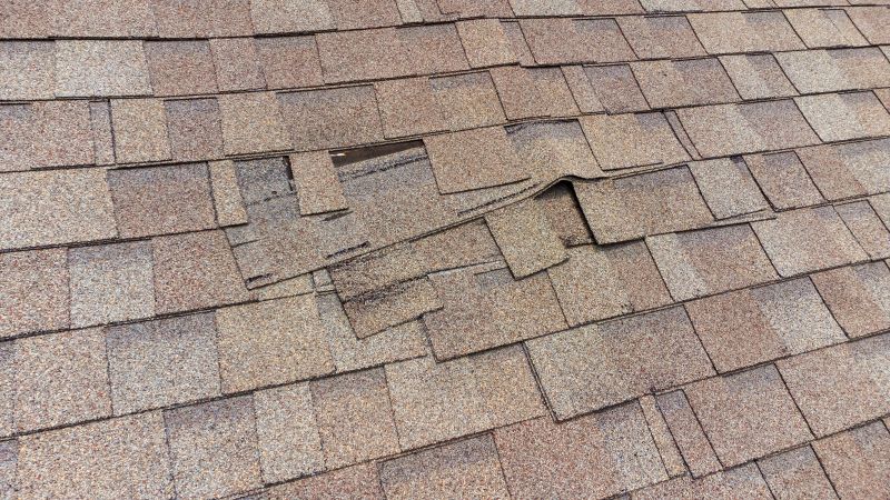 Roof Hail Damage Repair in Bethany Beach, DE