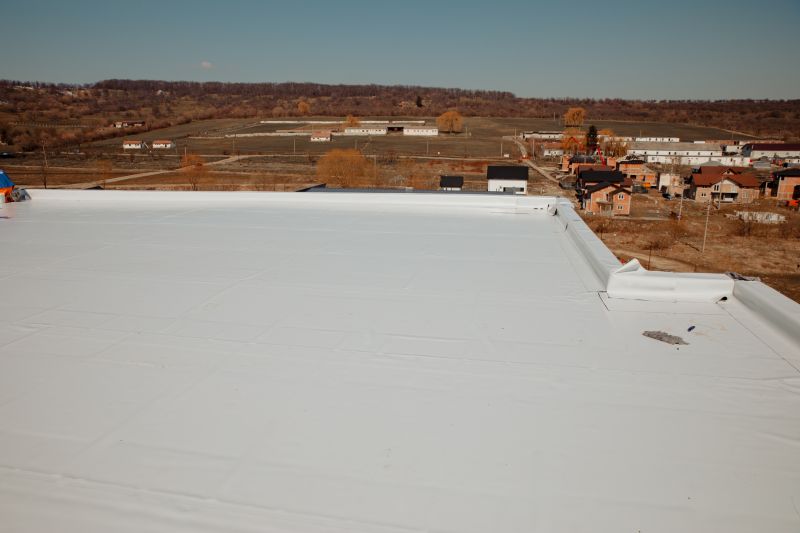 Rubber Roof Repair in Harbeson, DE