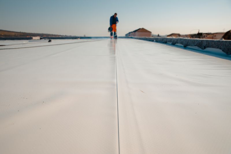 Rubber Roof Repair in Millsboro, DE