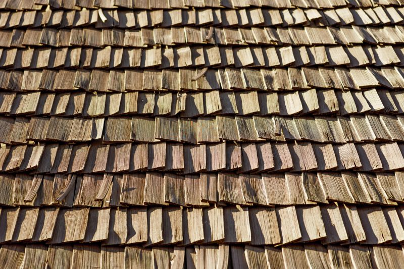 Shake Roof Replacement in Ocean View, DE