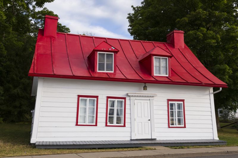 Tin Roof Installation in Dagsboro, DE