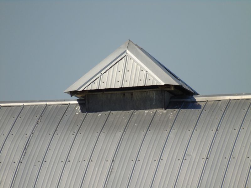 Tin Roof Installation in Bethany Beach, DE