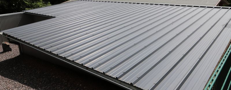 Tin Roof Installation in Selbyville, DE