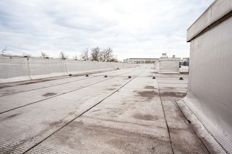 Tpo Roof Repair in Dagsboro, DE