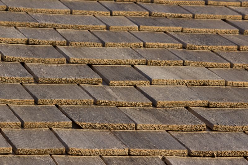 Wood Shake Roof Repair in Harbeson, DE