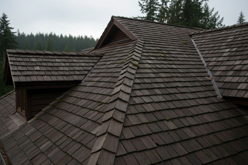 Wood Shake Roof Replacement in Dagsboro, DE