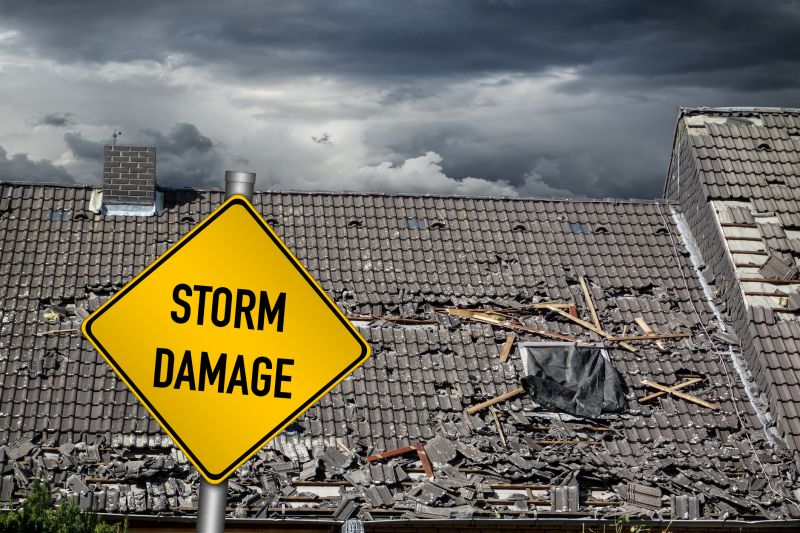 Storm Damage Roof Repair in Georgetown, DE